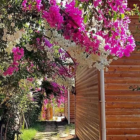Hotel Kabak Armes
