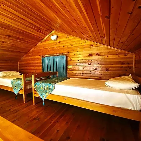 Kabak Armes 3*